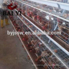 Automatic Poultry Cage Equipment For Chicken Farms